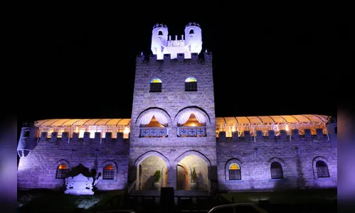 Castelo abriga vinícola em Bandeirantes; o local produz vinhos canônicos que são entregues na Diocese de Apucarana e em outros países