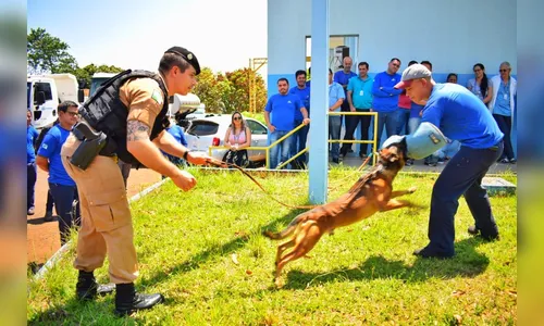 Canil do 10º BPM realiza palestra sobre prevenção de mordidas de cães