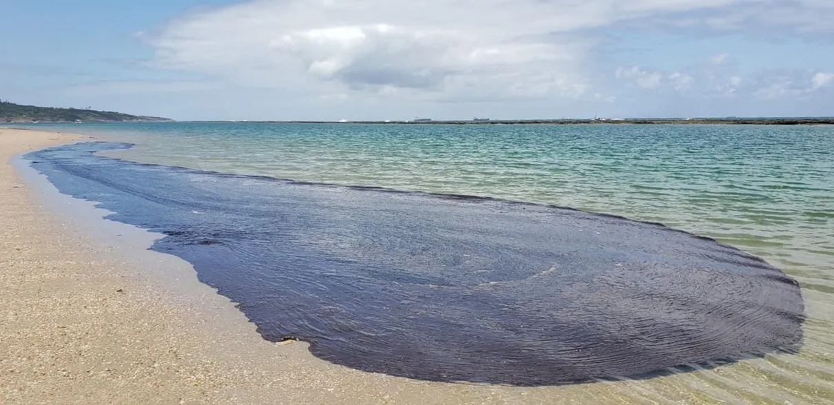 Mancha de óleo em Suape, no Cabo de Santo Agostinho. — Foto: Salve Maracaípe/Reprodução/WhatsApp