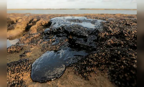 Quatro mil toneladas de óleo já foram retiradas de praias nordestinas