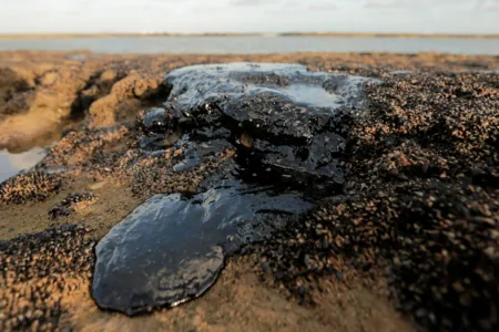 Quatro mil toneladas de óleo já foram retiradas de praias nordestinas