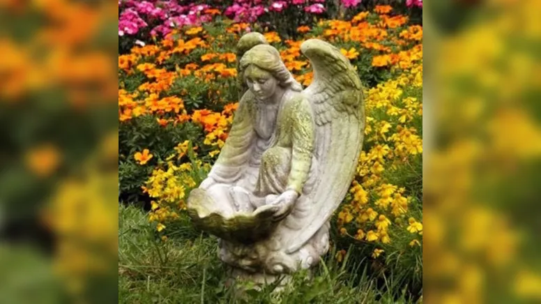 Imagem ilustrativa da notícia Anjos de janeiro: dia 13 