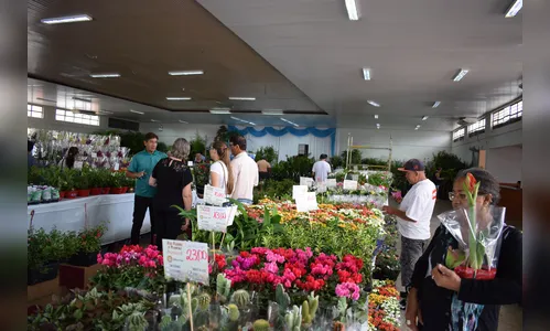 2ª Expoflores de Ivaiporã começa na quinta-feira