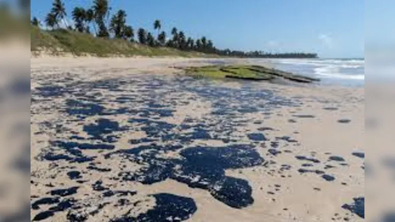 Imagem ilustrativa da notícia ÓLEO NO NORDESTE "O PIOR ESTÁ POR VIR "