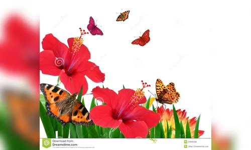 Primavera 