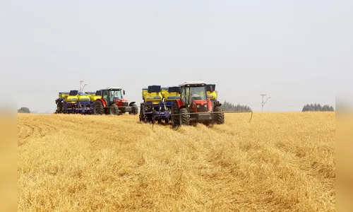 Paraná prorroga prazo para o plantio da soja