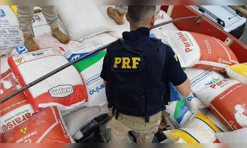 PRF apreende quase 2 toneladas de maconha em meio à carga de milho no Paraná