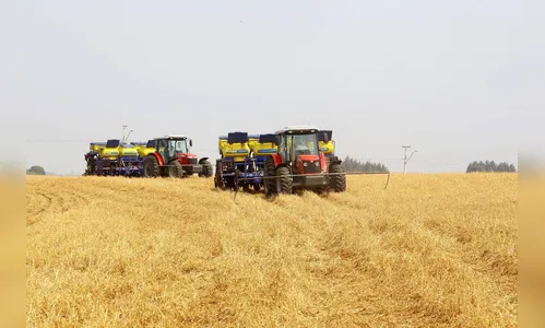 Paraná prorroga prazo para o plantio da soja