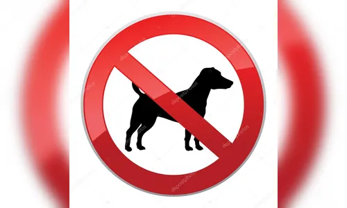 Lei paranaense que autoriza a entrada de animais domésticos em hospitais é inconstitucional, diz TJPR