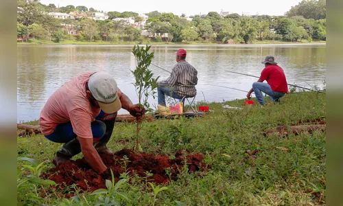 Apucarana planta 17 mil árvores na área urbana