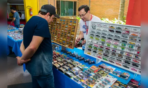 
							Encontro reúne 26 expositores de miniaturas em Arapongas
						
						