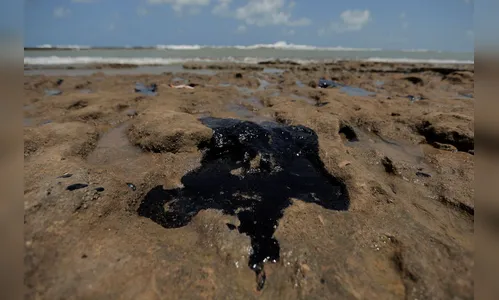 Óleo atinge local de desova de tartarugas no Espírito Santo
