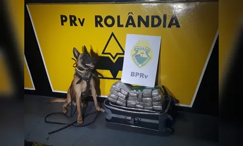 PRE apreende 20 kg de maconha; jovem de 19 anos foi presa