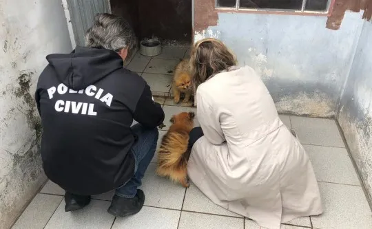 Veterinária é presa suspeita de maus-tratos; oito cães doentes foram resgatados
