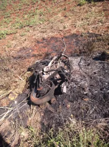 A moto foi encontrada na Rodovia PR-650, entre São João do Ivaí e o distrito de Santa Luzia da Alvorada. (Foto: Canal HP Vale do Ivaí)