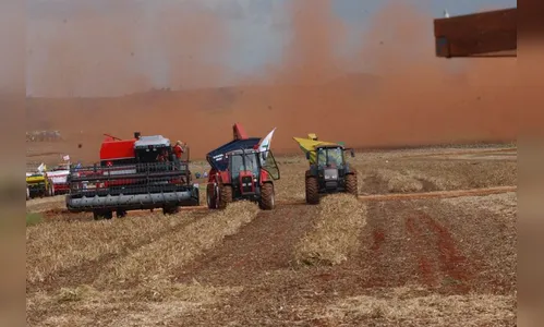 IBGE estima queda de 1% na safra de grãos em 2020