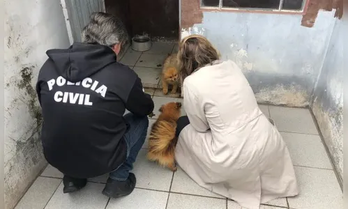 Veterinária é presa suspeita de maus-tratos; oito cães doentes foram resgatados