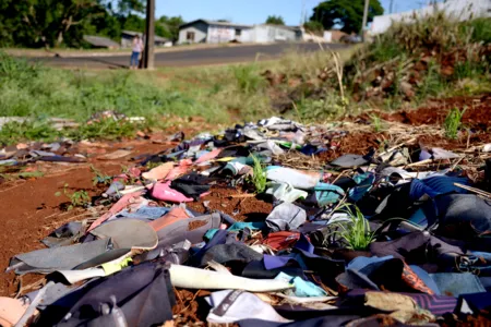 De janeiro a outubro deste ano, a Secretaria Municipal de Meio Ambiente (Sema) recebeu 125 denúncias, uma média de três por semana. Foto: Tribuna do Norte/Sérgio Rodrigo