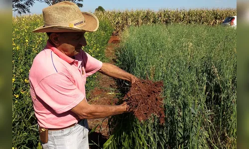 Emater incentiva técnica contra erosão e colhe bons resultados