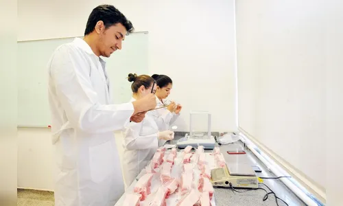 UEL desenvolve técnica rápida para identificar fraudes