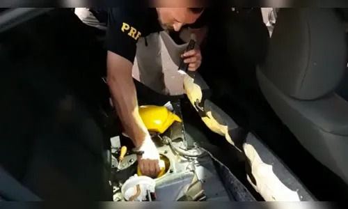 PRF apreende cocaína e crack em tanque de combustível no Paraná