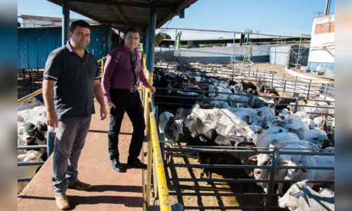 
							Frigorífico de Apucarana recebe prêmio 'Selo Clima Paraná 2019'
						
						