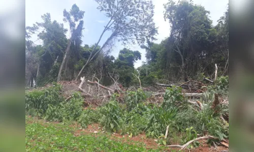 
						
							Polícia Ambiental autua propriedade rural em Ivaiporã
						
						