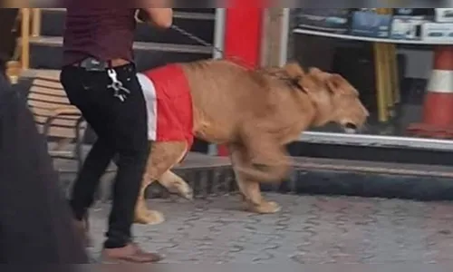 Homem leva leão para protesto após saber que a polícia ia levar cães