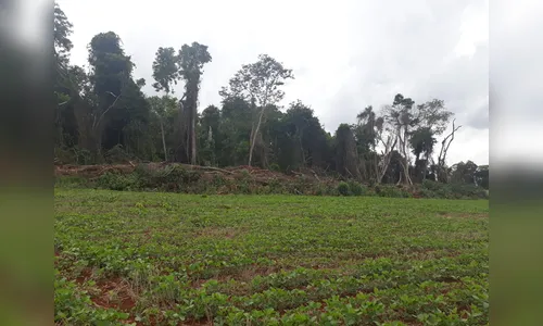 Polícia Ambiental autua propriedade rural em Ivaiporã