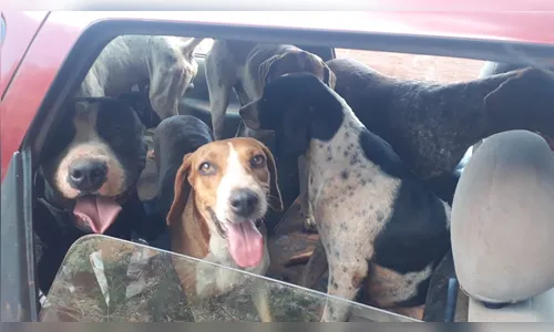 Caçadores trocam tiros com a  PM de Rolândia 