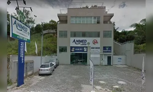 Clínica congelava animais mortos para cobrar internação, diz polícia