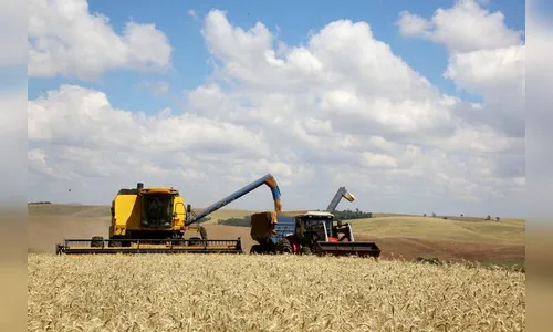 Safra de grãos do Paraná deve alcançar 23,4 milhões de toneladas