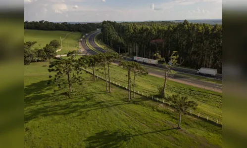 
							CCR RodoNorte libera mais 14 km de duplicações na Rodovia do Café; saiba onde fica
						
						