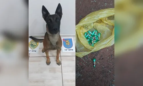PM apreende cocaína na zona norte de Apucarana