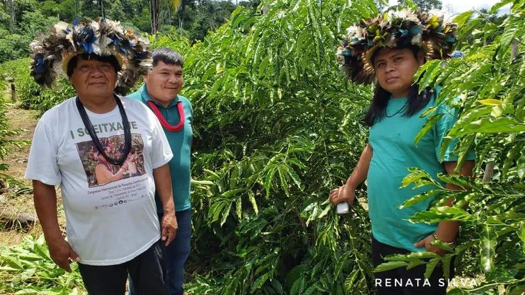 Etnia de Rondônia vai produzir café em parceria com maior marca brasileira (Fotos: Funai/Divulgação/Direitos Reservados)