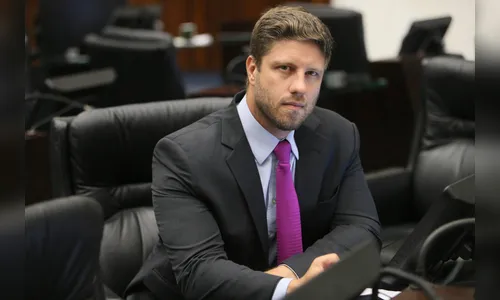 Projeto cria portal único para localizar animais de estimação no Paraná