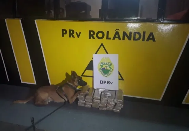 PRE apreende 30 kg de maconha em Rolândia 