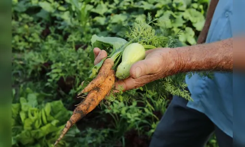Governo libera 100% do orçamento para o seguro rural