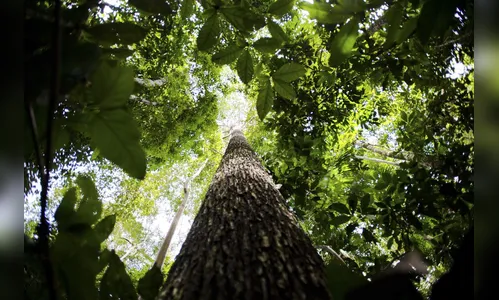 Empresários avaliam que licenciamento ambiental é fundamental