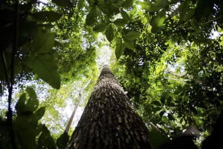 Empresários avaliam que licenciamento ambiental é fundamental