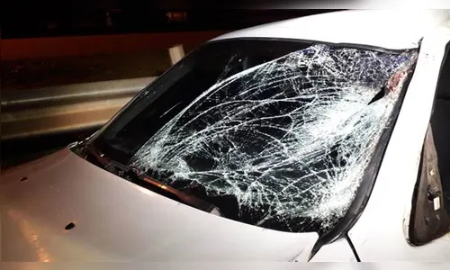 Homem morre atropelado ao tentar atravessar a PR-445