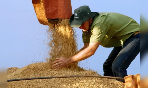 Conab prevê desligamento de 27 unidades, entre elas a de Apucarana