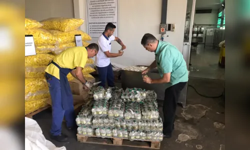 
						
							Polícia Civil de Faxinal destrói 1,8 mil litros de bebidas alcoólicas falsificadas
						
						