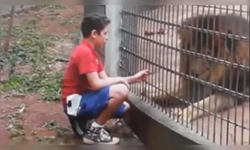 Pai de menino que teve braço mordido por tigre é condenado no Paraná