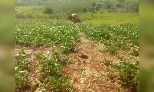 Agricultor morre após ser atropelado pelo próprio trator em Arapuã