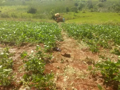 A vítima acabou sendo atropelada pelo próprio trator em Arapuã. (Foto:Blog do Berimbau)