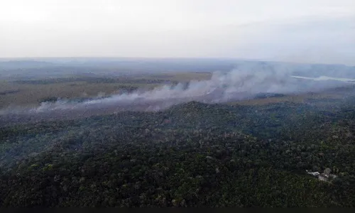 Alter do Chão: Prefeito vê ação de grileiros e policiais em incêndios