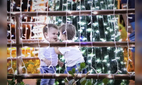 
						
							Decoração natalina enche de luz a Avenida Arapongas
						
						