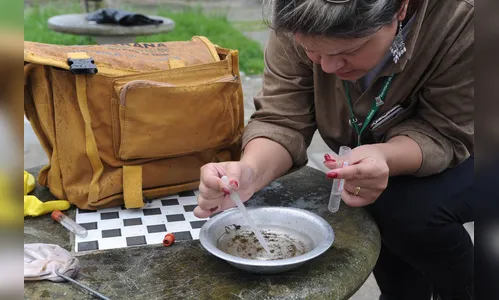 Principal criadouro do mosquito da dengue está nos domicílios