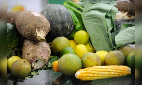 Cesta básica sobe em nove capitais em novembro, diz Dieese